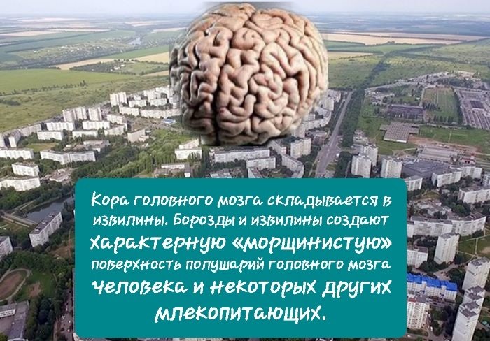 160887.jpg.00abeccb90267965b0b8296e85bf623c.jpg