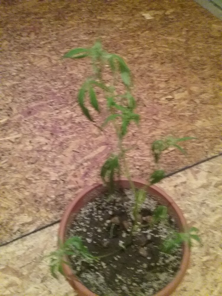 20230915_020022.jpg