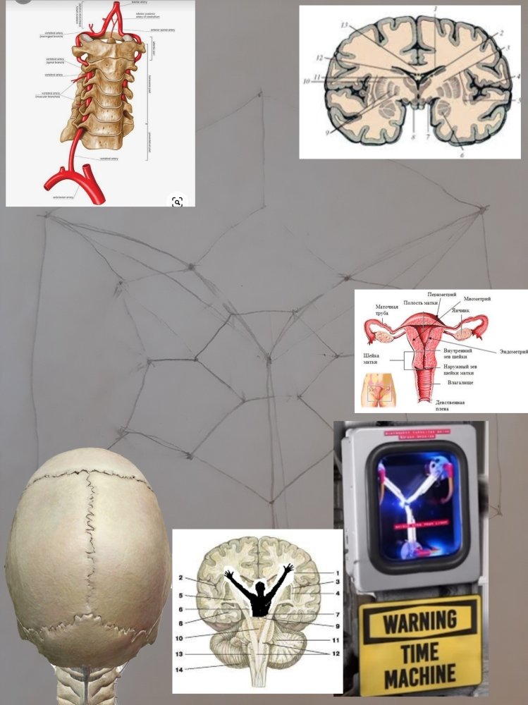 20230928_145732.thumb.jpg.a68f1aaf69b3b6d61a06fd161b4bc5d9.jpg