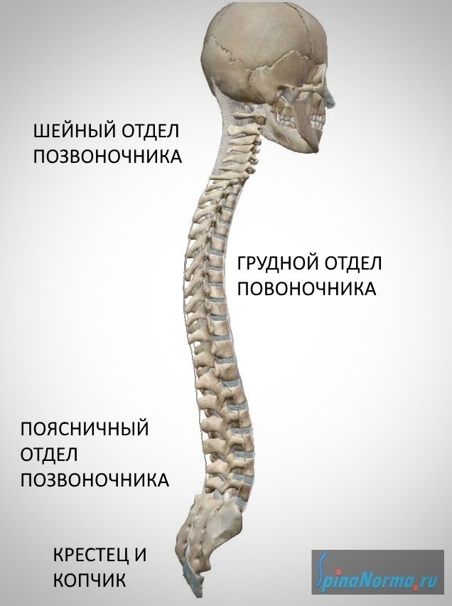 41a3828cteafj4c94vl758lueddzi9w2.jpg.10c76ae790932023971b3910231be847.jpg