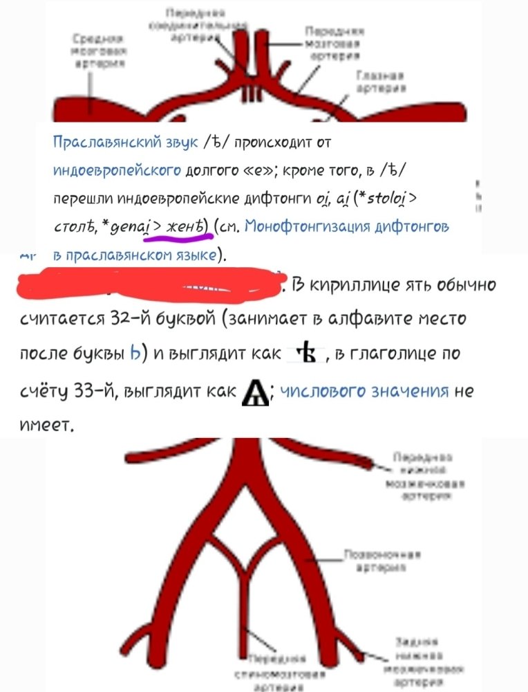 Screenshot_20230830-133147_Gallery.thumb.jpg.14bbb363babf2163ffc2923c0ece79ba.jpg