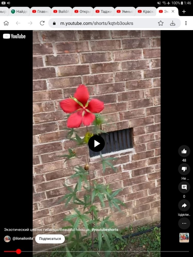 Screenshot_20230915-014621.jpg