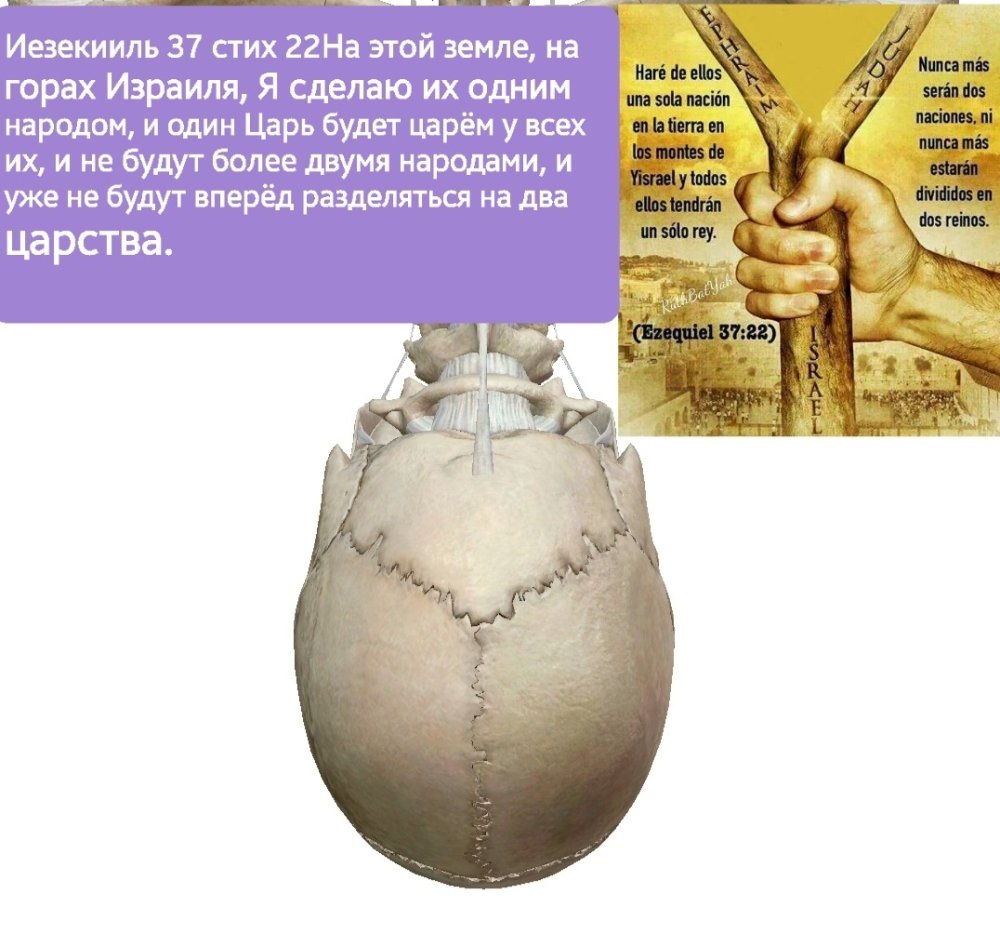 Screenshot_20230923-104338_Atlas.thumb.jpg.a5e3a73e2e89ada1a365d6ec69c83395.jpg