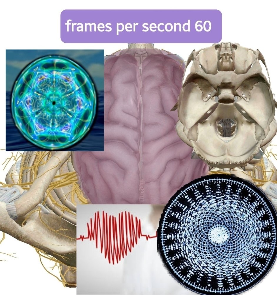 Screenshot_20230927-170925_Atlas.jpg