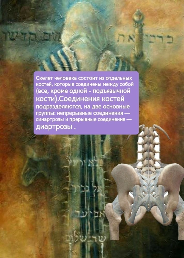 c065505d46bbd03b4343bd0cb21c38ac.thumb.jpg.725ee798984cd8d8978a3f0c3ae2c2a5.jpg