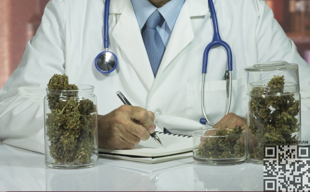 cannabis-doctor.jpg