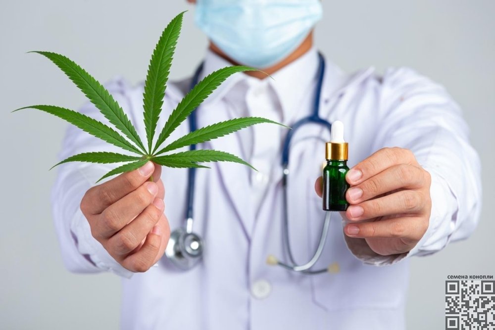 cannabis-doctor.jpg
