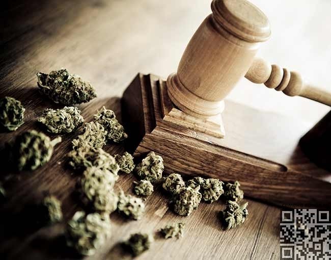 cannabis-law.jpg