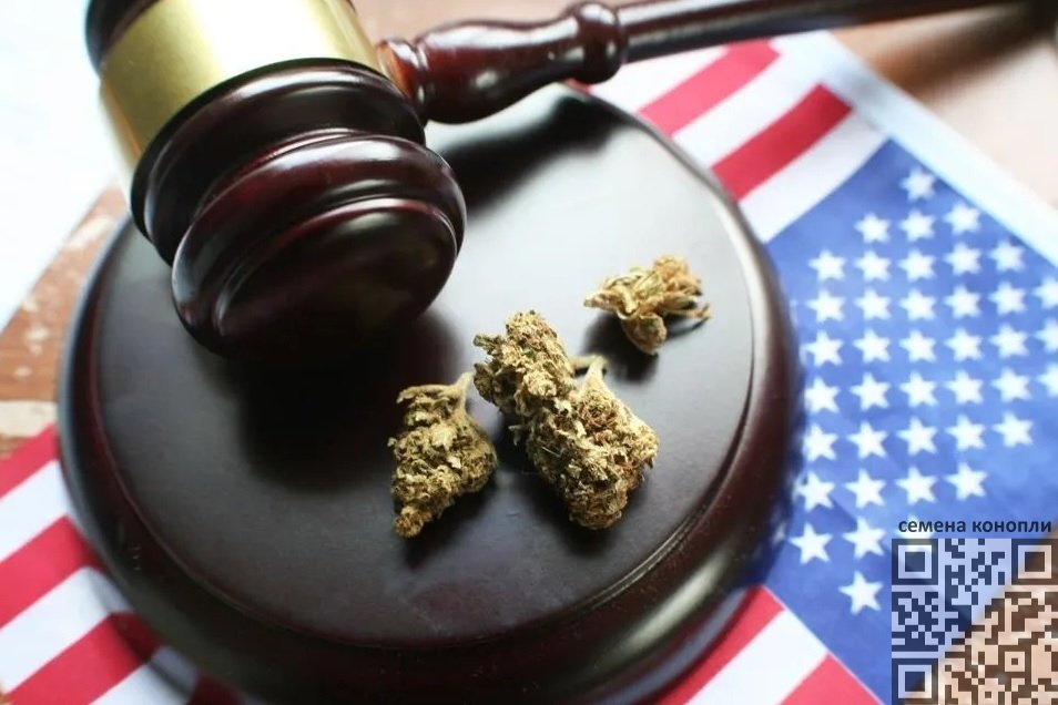 cannabis-reschedule-us.jpg