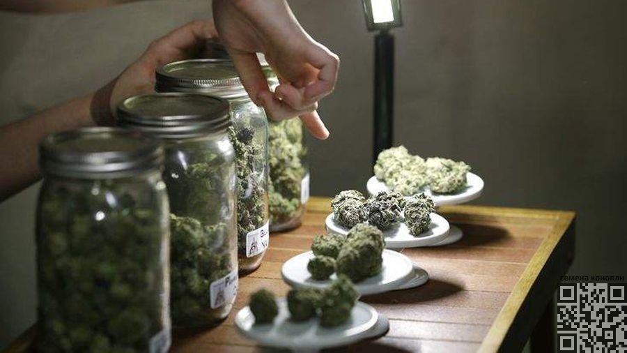 cannabis-sale.jpg