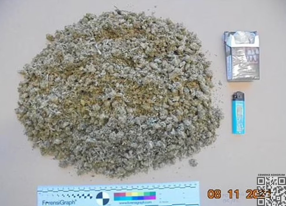 leyson-cannabis-seized.jpg