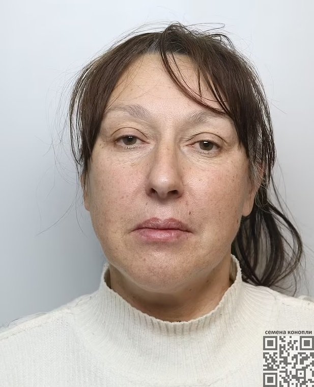 lynne-leyson.jpg