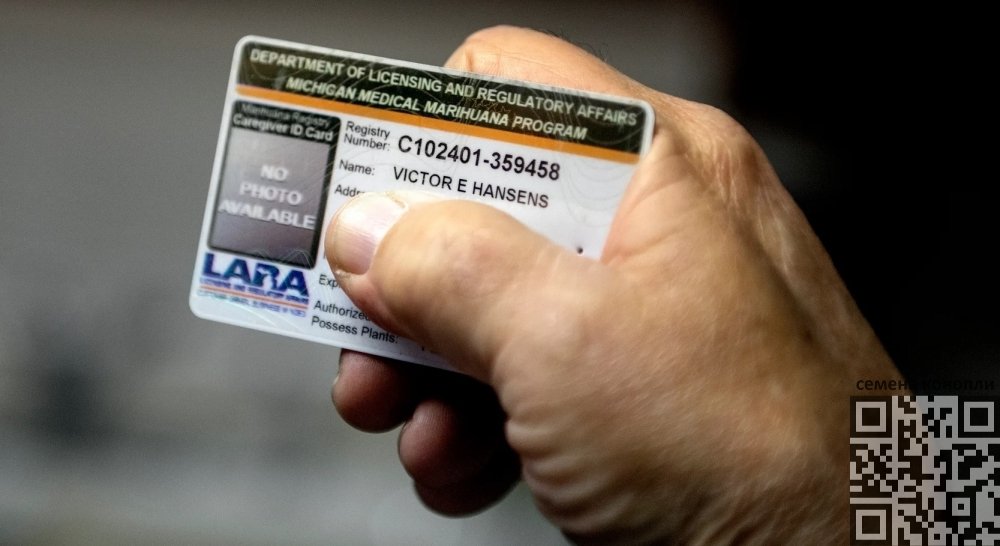 michigan-cannabis-card.jpg