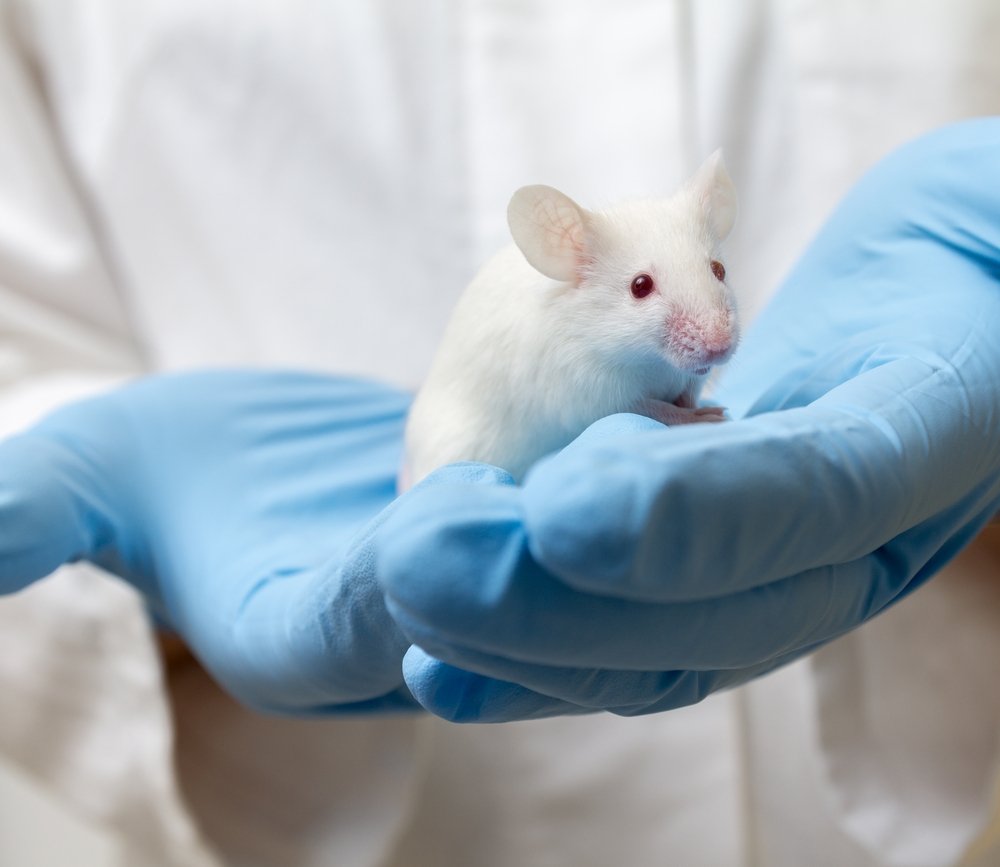 mouse-lab.jpg