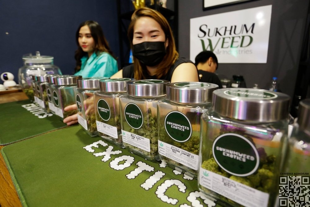 thailand-cannabis-shop.jpg