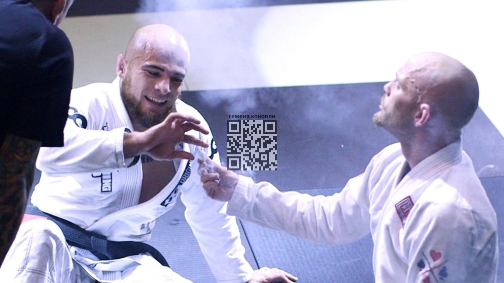 cannabis-bjj.jpg