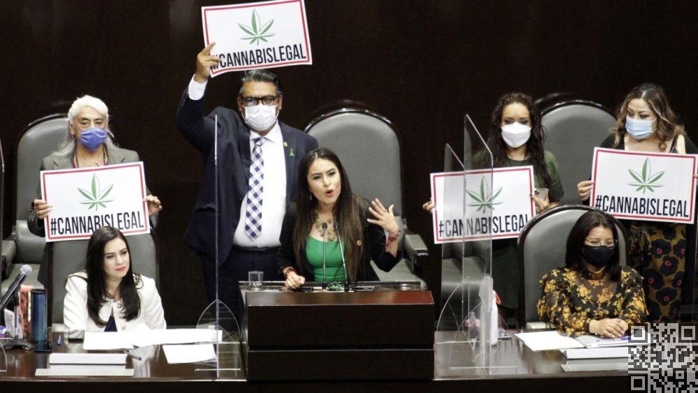 cannabis-mexico-legal.jpg