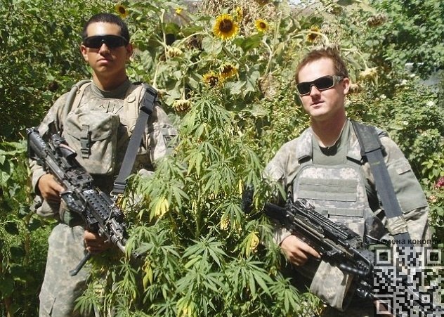cannabis-military.jpg