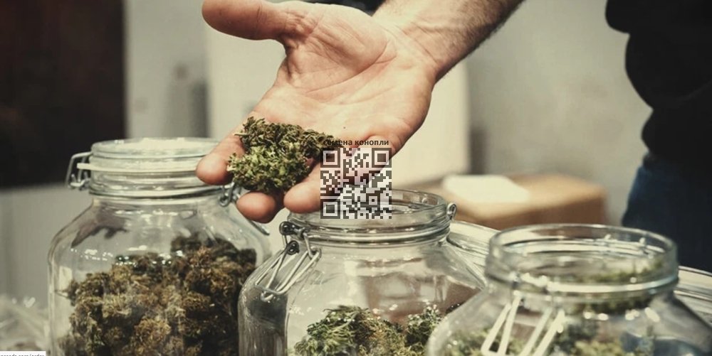 cannabis-sale.jpg