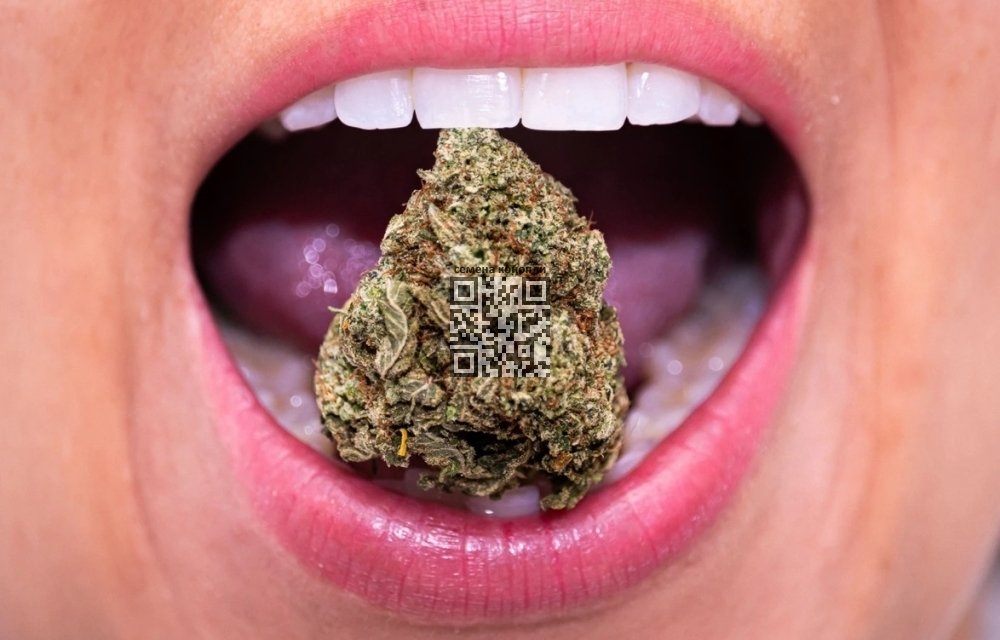 cannabis-teeth.jpg