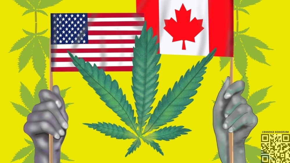 cannabis-us-canada.jpg
