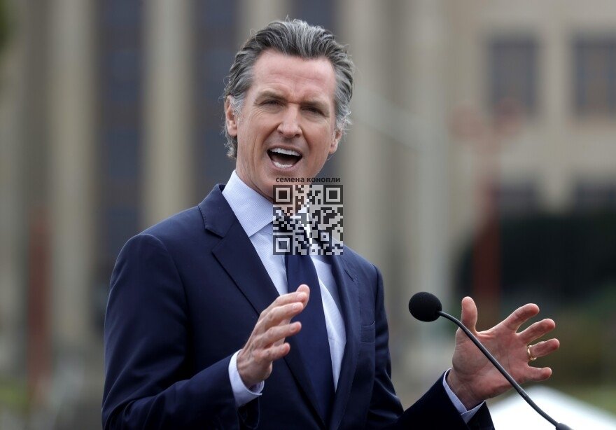 gavin-newsom.jpg