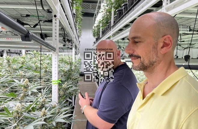 gip-test-farm.jpg