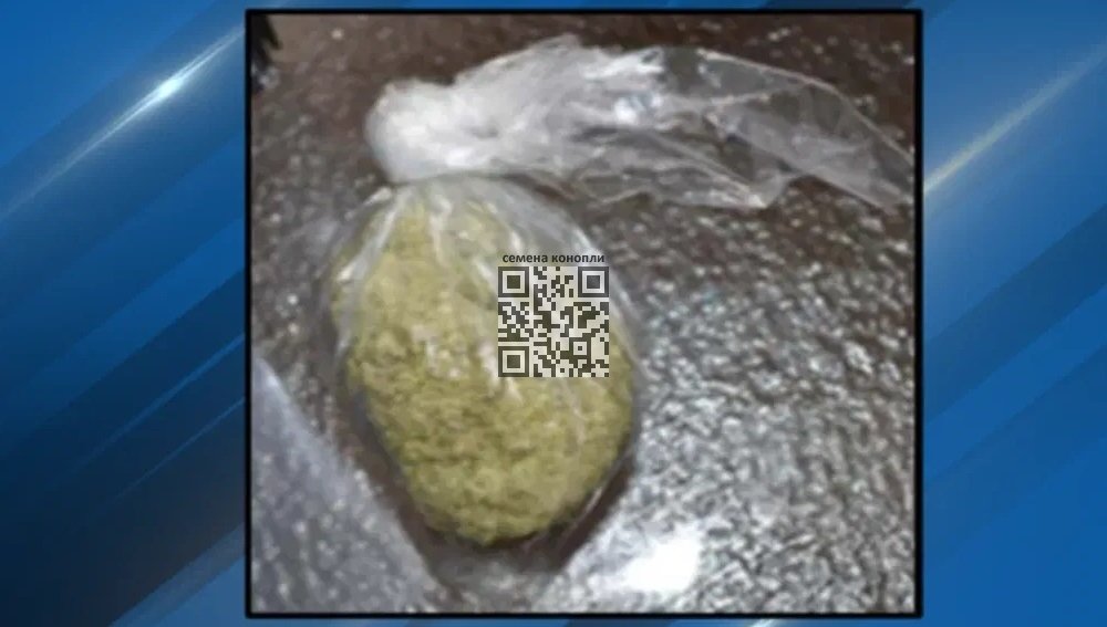 marijuana-with-fentanyl-seized-fake.jpg