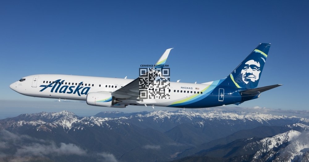 plane-alaska-airlines.jpg