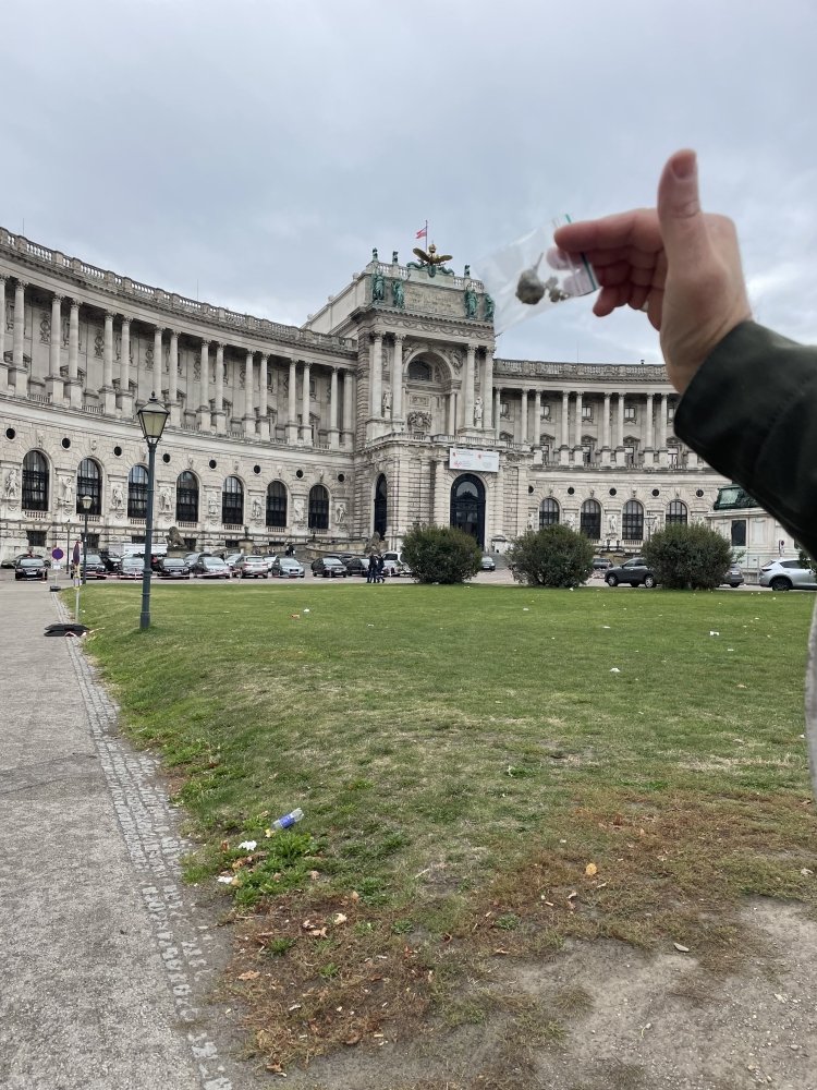 wien.jpeg