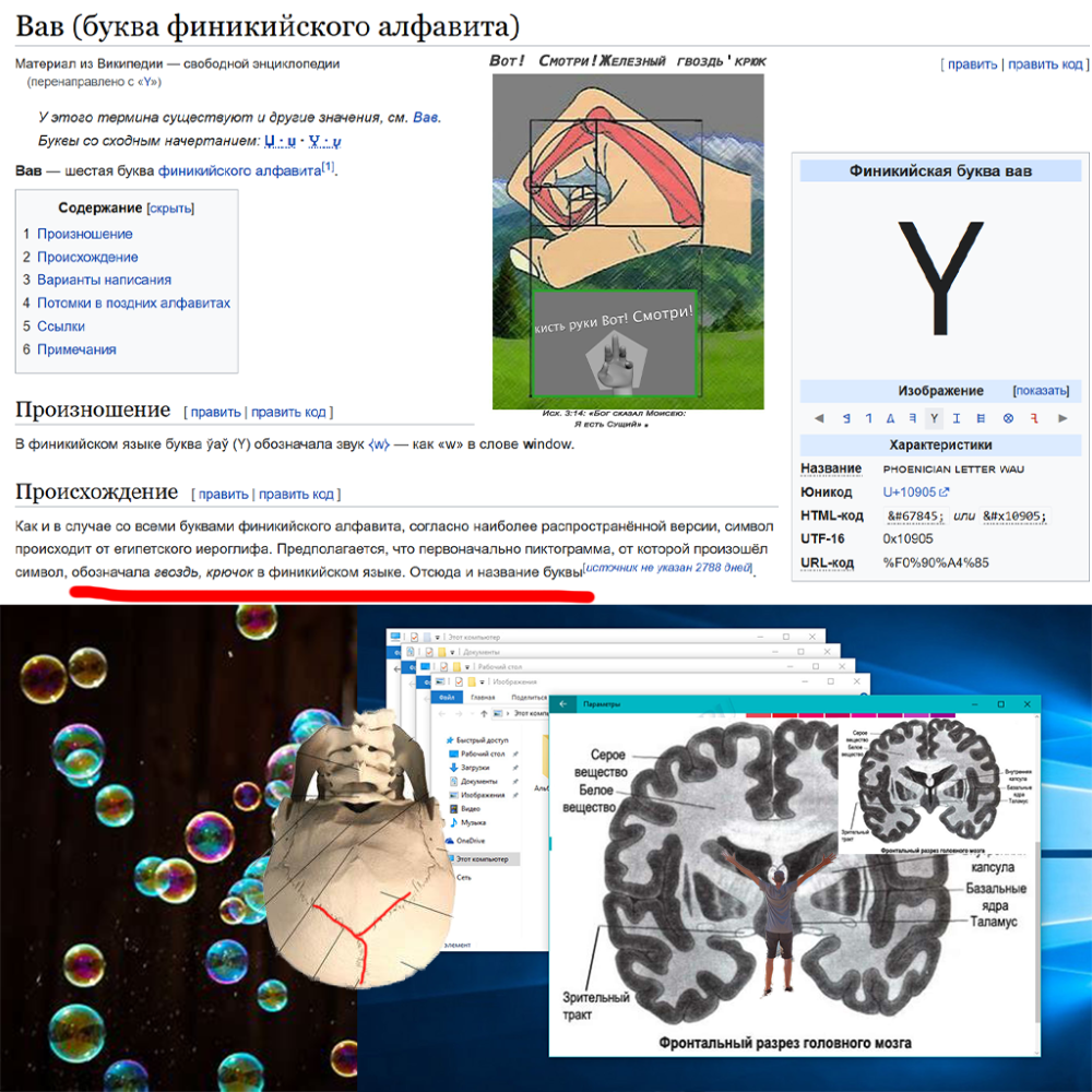 .thumb.png.16f2d8fa80d25a0d1a311ba38db2321b.png