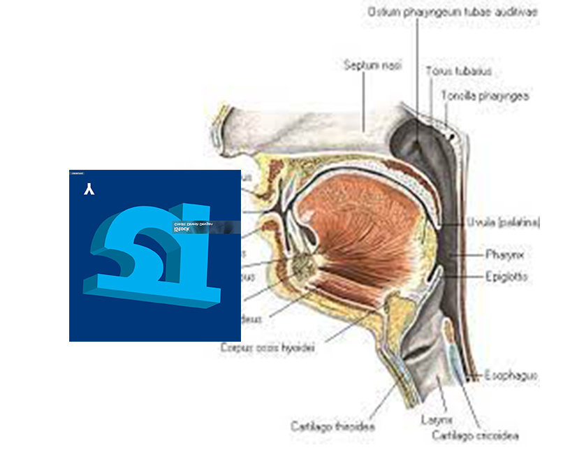 234.png.9fcfd09d84c396400dc31ef7753c5cbd.png