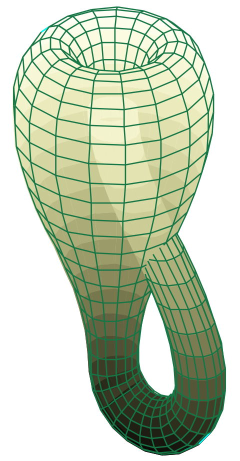480px-Klein_bottle_svg.png.6d353270edb598cabc85b9963e636242.png