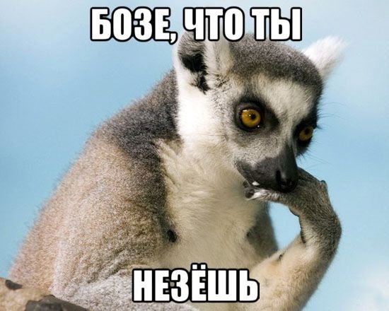 649586aa0015737deec42541944fb081.jpg.cbdd801186599013e77cf121bebfcf7d.jpg