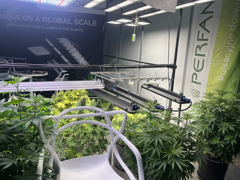 IMG_7767.thumb.jpeg.c3c02a73d314cafaf1fb2a9585053c2f.jpeg