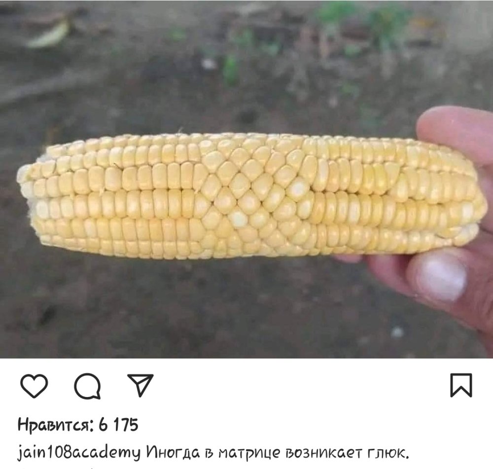Screenshot_20231126-190455_Instagram.thumb.jpg.3d85f9fa7149a6067b4a67bded5220d2.jpg