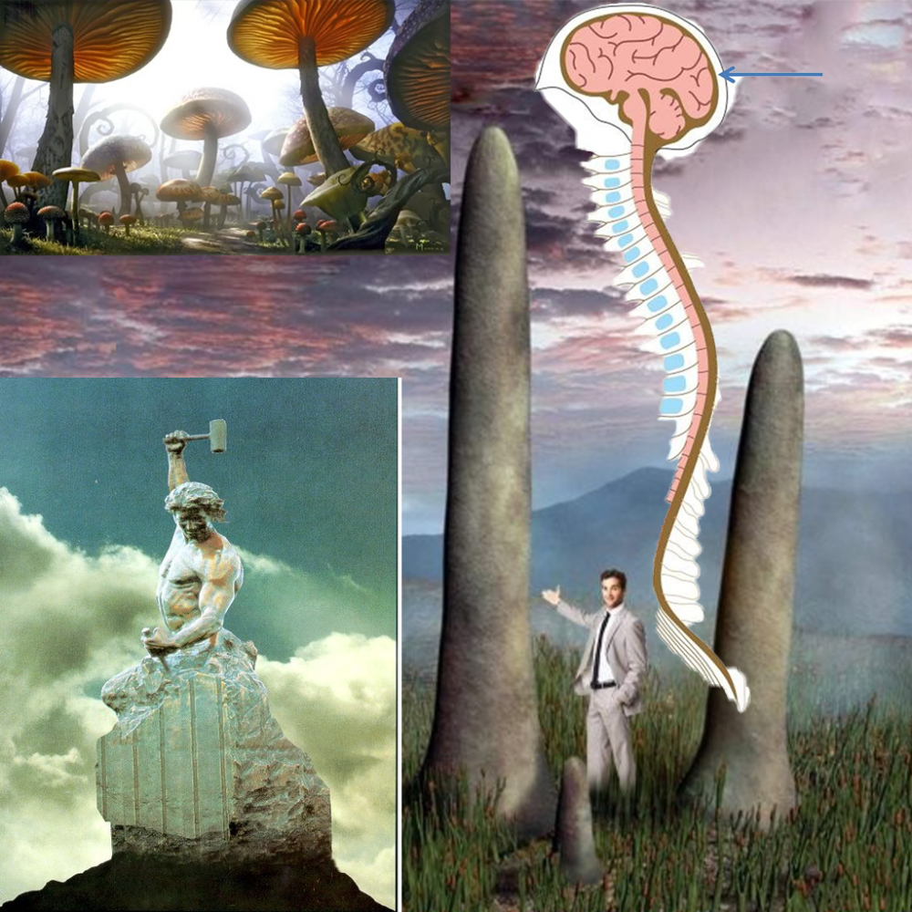 Untitled-1.thumb.png.4b0ec4e26610be6c4f1e4948daa85205.png