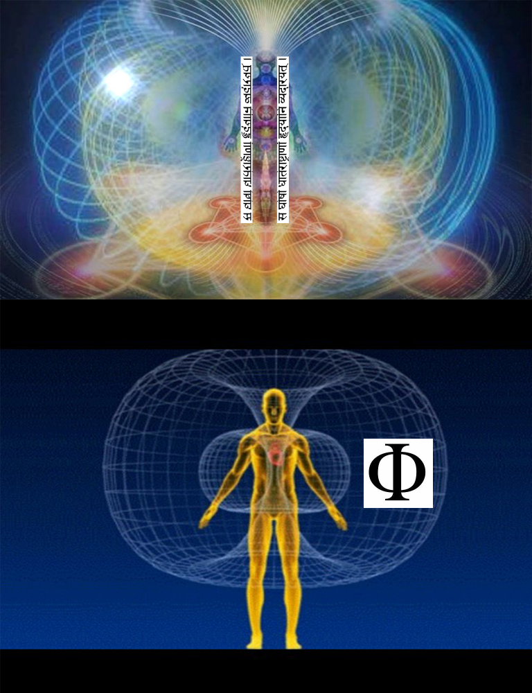 Untitled-1.thumb.png.8c52e372e8dbaa01f282f2b3fb5ce8e4.png