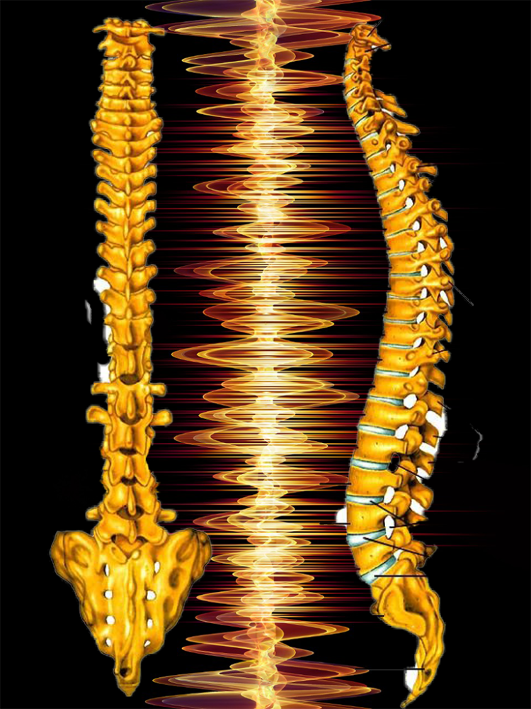 Untitled-1.thumb.png.da5c90150bd1bac8be6562f56ea60a98.png