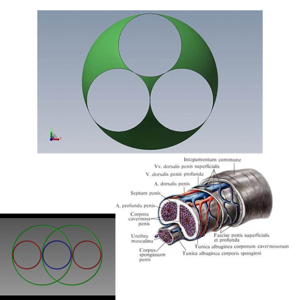 Untitled-2.thumb.png.98c3d746301976f5420db465d11c3190.png