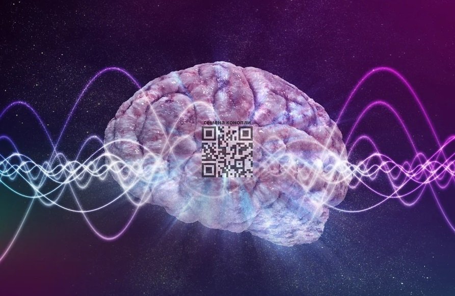 brain-waves.jpg