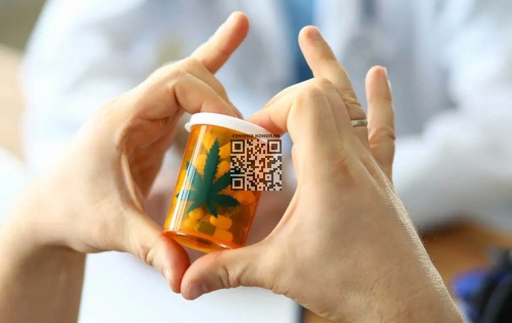 cannabis-better-than-drugs.jpg