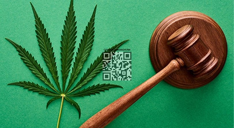 cannabis-law.jpg