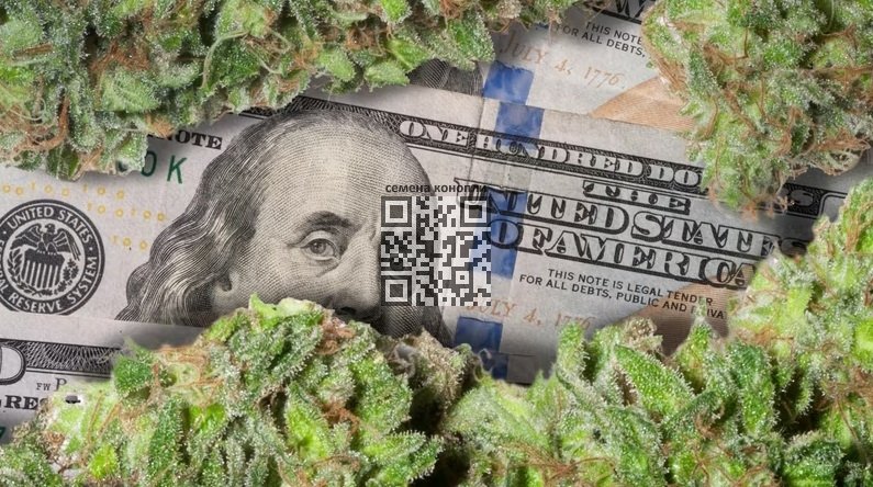 cannabis-money.jpg