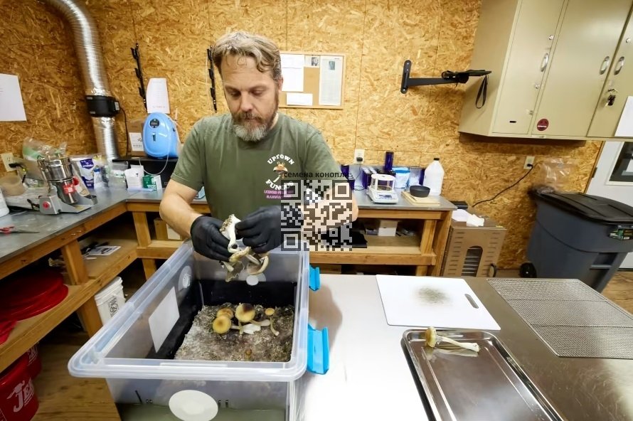 gared-hansen-mushrooms-farm.jpg