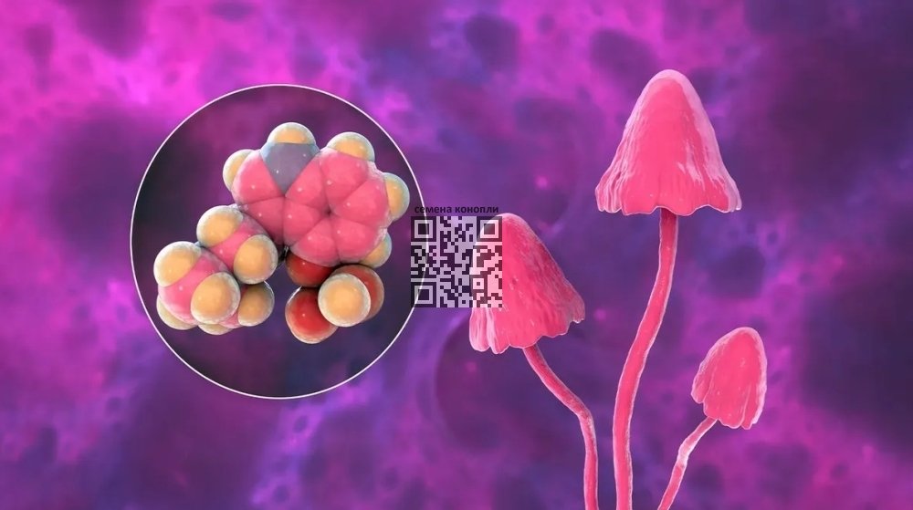 psilocybin-molecule.jpg