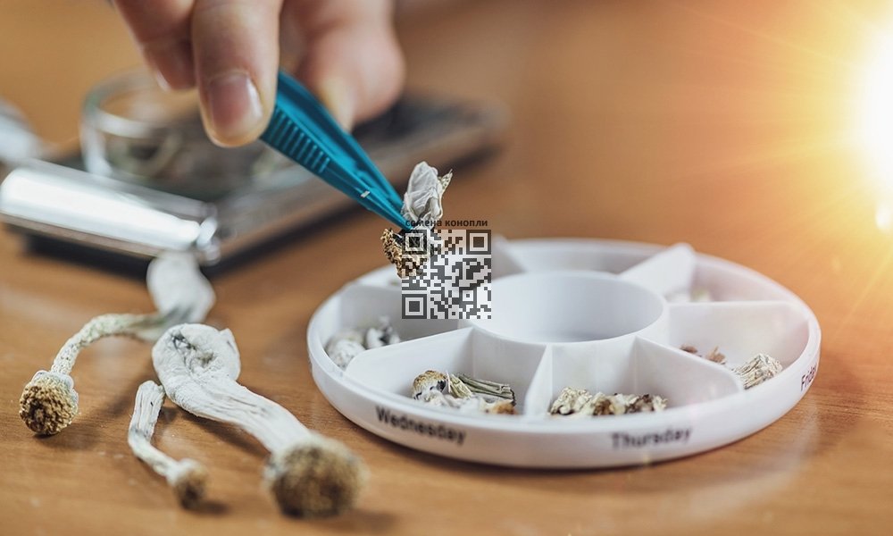 psilocybin-mushrooms-misrodosing.jpg