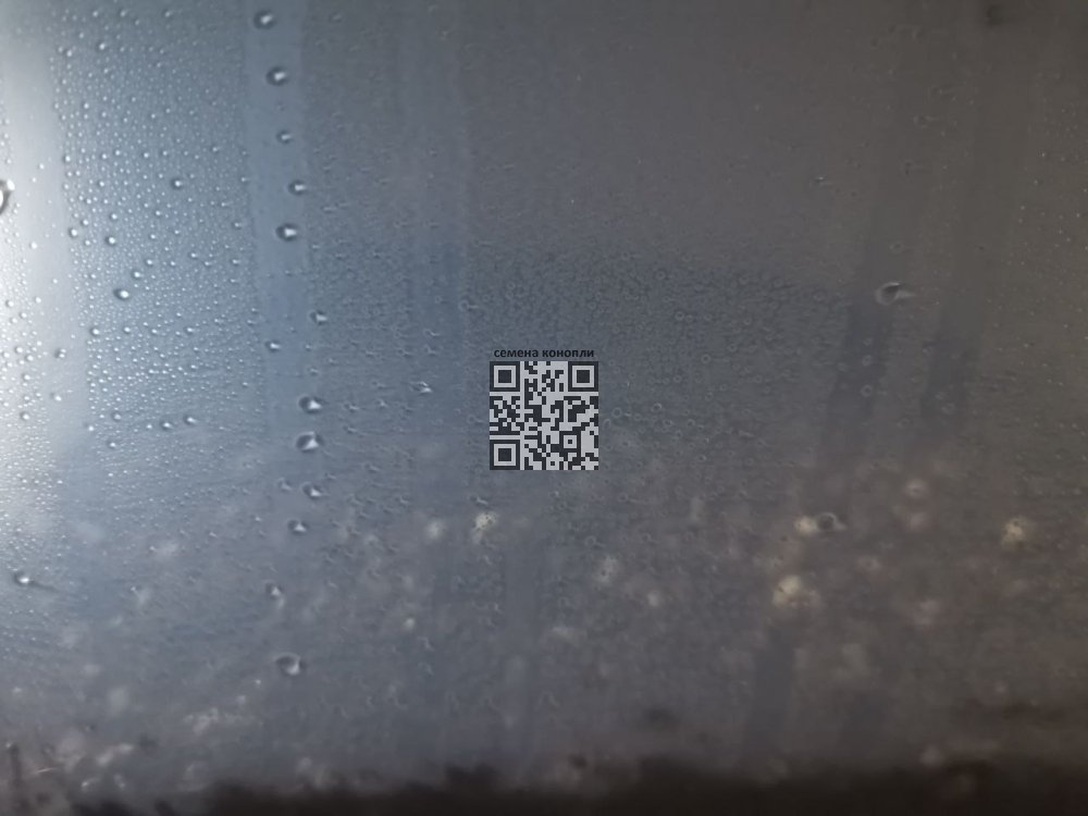 17_12_23.thumb.jpg.04117ea3872ecf18c515ff7fdc992723.jpg