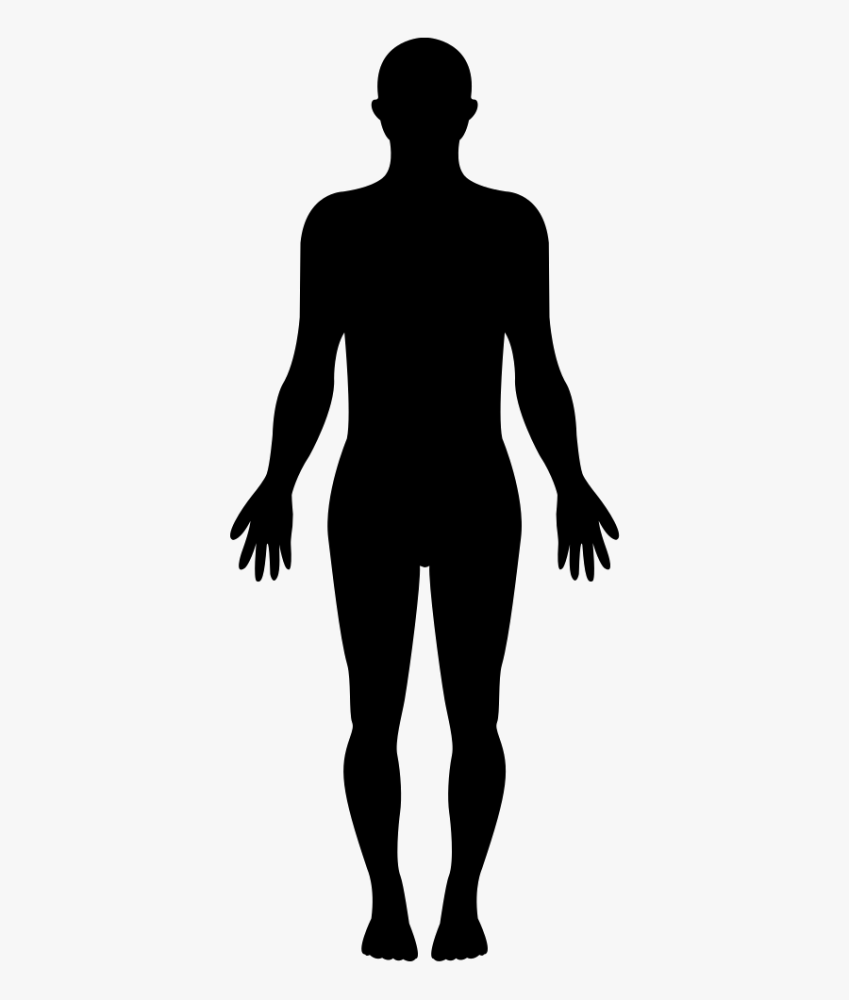 20-200600_silhouette-human-at-getdrawings-female-human-silhouette-standing.thumb.png.873e29c604880ac411630a2b7d8bdb86.png