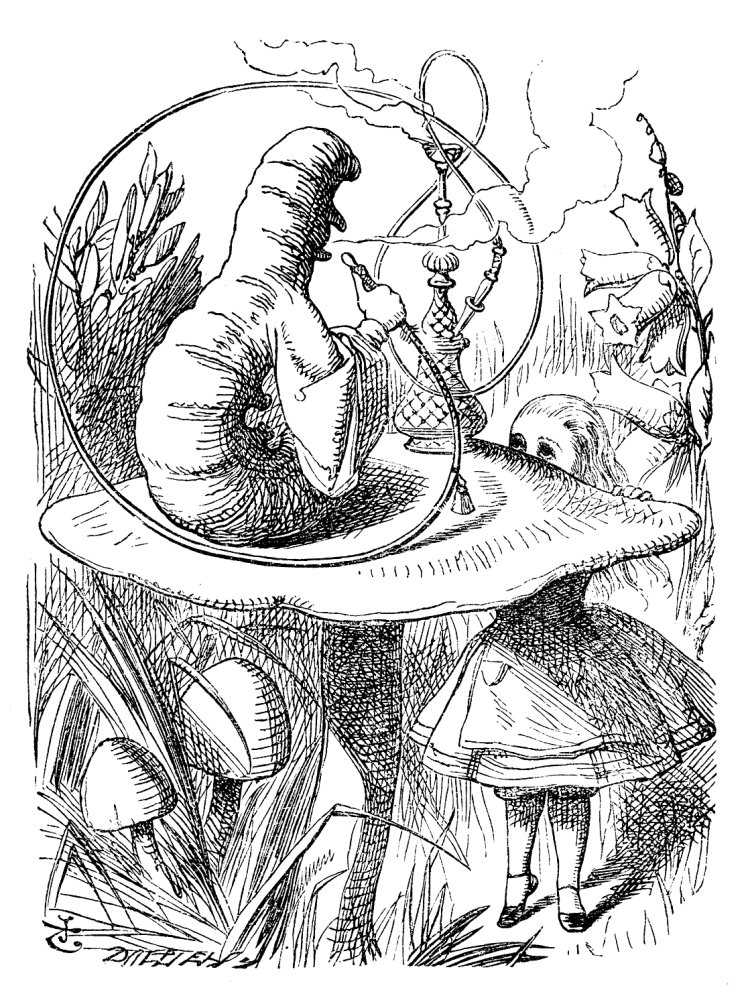 Alice_05a-1116x1492.thumb.jpg.b74914c87daf1cb86619f094e573e5d8.jpg